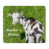 Nom personnalisé de l'animal de ferme caprin