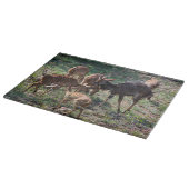 Planche À Découper Nyala dans les prairies – Moment de faune (Coin)