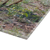 Planche À Découper Nyala dans les prairies – Moment de faune (Coin)