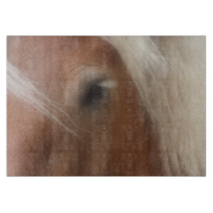 Planche À Découper Oeil D'Un Animal Belge De Cheval