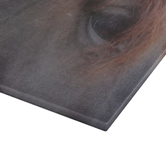 Planche À Découper Oeil D'Un Animal De Cheval Noir (Coin)