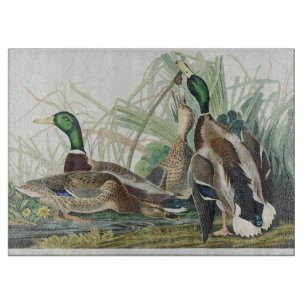 Planche À Découper Œuvre d'art faunique de canard colvert Audubon vin