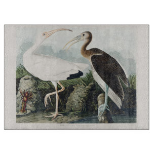Planche À Découper Œuvre d'art vintage d'Audubon sur l'Ibis blanc et