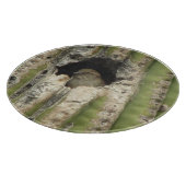 Planche À Découper Oiseau dans un nid de Saguaro (Coin)