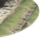 Planche À Découper Oiseau dans un nid de Saguaro (Coin)