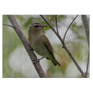 Planche À Découper Oiseau vert, Vireo à yeux rouges, Photographie can
