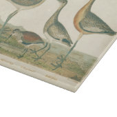 Planche À Découper Oiseaux de marais Courlis Oiseaux (Coin)