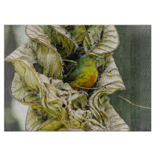 Planche À Découper Olive Backed Euphonia, Wildlife Avian Photography