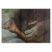 Planche À Découper Orang-outan de Sumatra, Pongo pygmaeus (Devant)