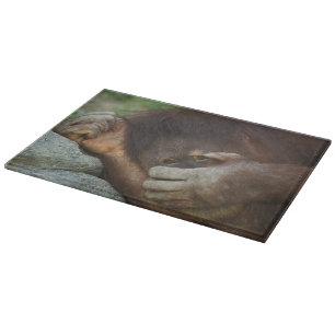 Planche À Découper Orang-outan de Sumatra, Pongo pygmaeus