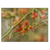 Planche À Découper Orange (Devant)