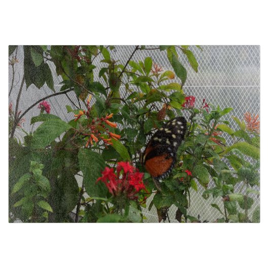 PLANCHE À DÉCOUPER ORANGE BUTTERFLY (Devant)