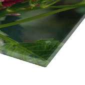 Planche À Découper Orange Chrysanthemum Photographie, Fleur canadienn (Coin)