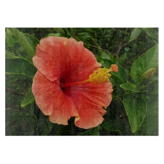 Planche À Découper Orange Hibiscus Fleur Tropical Floral (Devant)