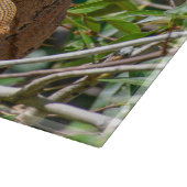 Planche À Découper Orange Iguana, Faune Photo Lizard (Coin)