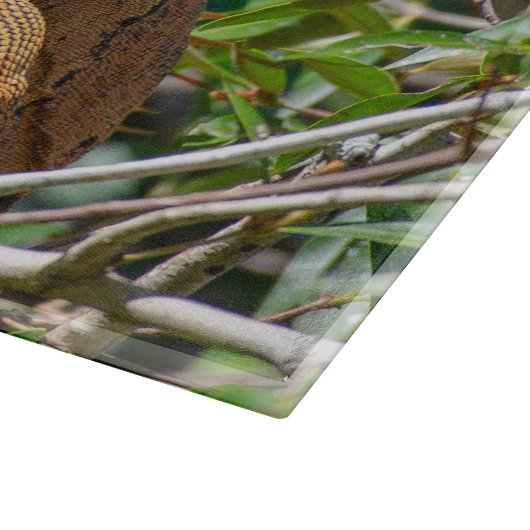 Planche À Découper Orange Iguana, Faune Photo Lizard (Coin)