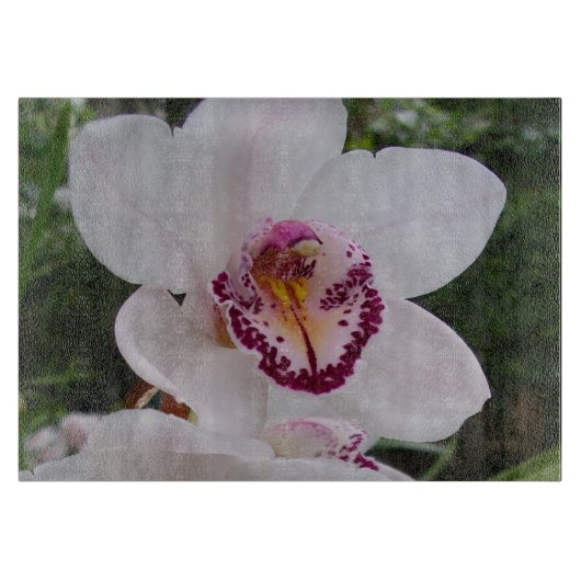 Planche À Découper Orchidée Blanche I Belle Fleur Tropicale (Devant)