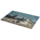 Planche À Découper Otaries de San Diego (Coin)