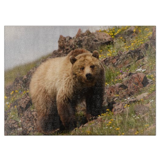 Planche À Découper ours (Devant)