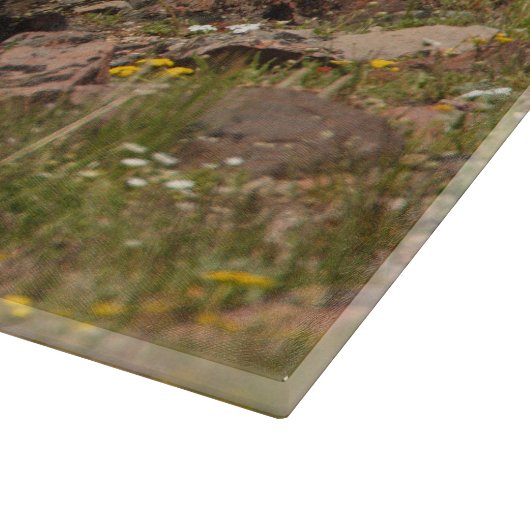 Planche À Découper ours (Coin)