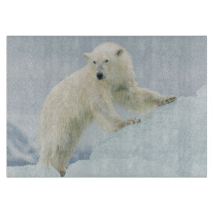 Planche À Découper Ours polaire en été