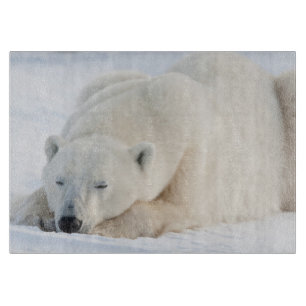 Planche À Découper Ours polaire en hiver