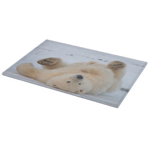Planche À Découper ours polaire, Ursus maritimus, ourson roulant 3