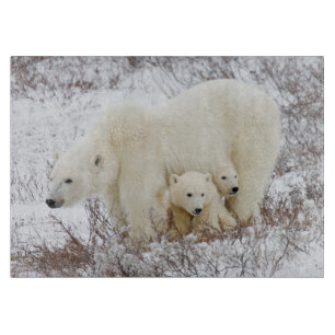 Planche À Découper Ours polaires femelle et deux oursons