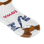 Planche À Découper Pagaie à découper en verre avec drapeau Iowa (Coin)