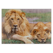 Planche À Découper Paire de lions africains, Panthera leo, Tanzanie (Devant)