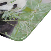 Planche à découper Panda géant photo, animaux 0147 (Coin)