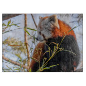 Planche À Découper Panda rouge (Devant)