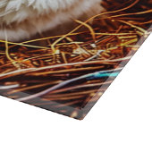 Planche À Découper Panier et oeufs de lapin de Pâques (Coin)