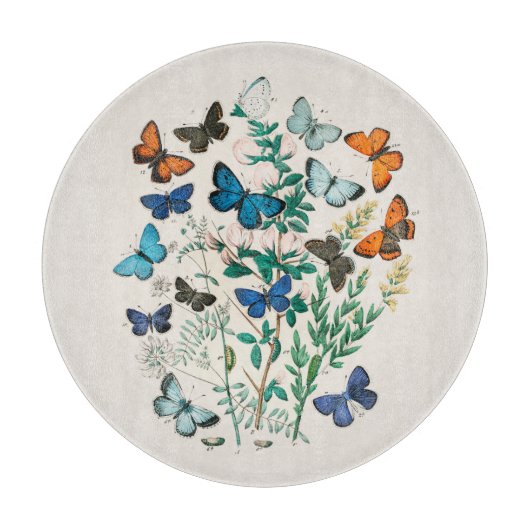 PLANCHE À DÉCOUPER PANNEAU DE CHOPPING EN VERRE : ANTIQUE IMPRIMER :  (Devant)