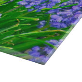 PLANCHE À DÉCOUPER PANNEAU DE COUPE EN VERRE, "HYACINTHÈQUES DE GRAPE (Coin)