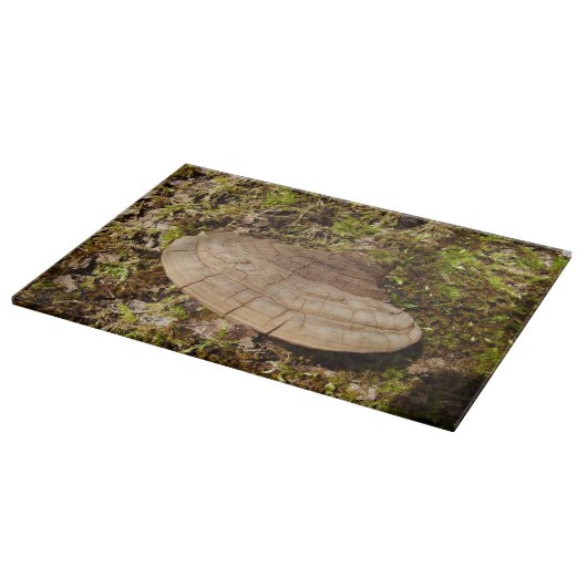 Planche À Découper Panneau de découpe en verre de champignon Phellinu (Coin)