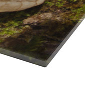 Planche À Découper Panneau de découpe en verre de champignon Phellinu (Coin)