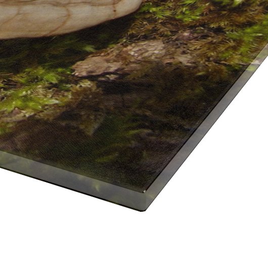 Planche À Découper Panneau de découpe en verre de champignon Phellinu (Coin)