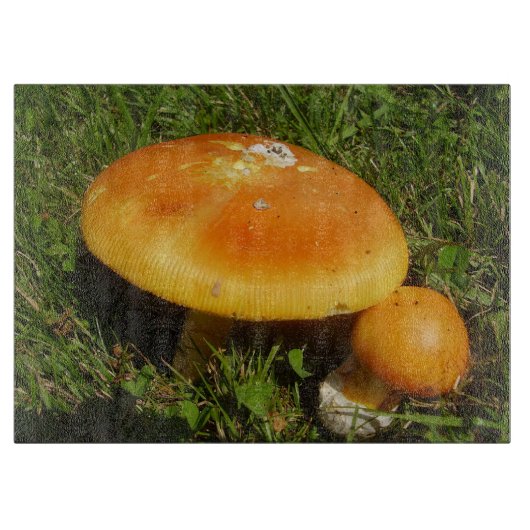 Planche À Découper Panneaux de verre de champignons Amanita Caesarea (Devant)