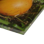 Planche À Découper Panneaux de verre de champignons Amanita Caesarea (Coin)