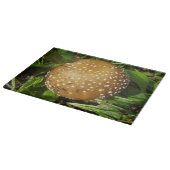 Planche À Découper Panther Casquette de champignon de verre (Coin)