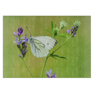 Planche À Découper Papillon Blanc à Veines Vertes