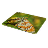 Planche À Découper Papillon blanc et orange du Fritillaire tacheté (Coin)