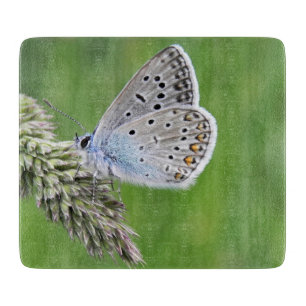 Planche À Découper Papillon bleu commun sur l'herbe