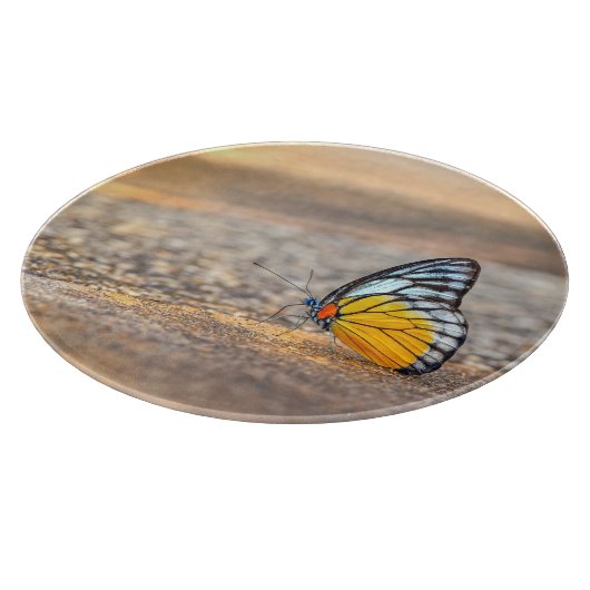 Planche À Découper Papillon sur la plage (Coin)