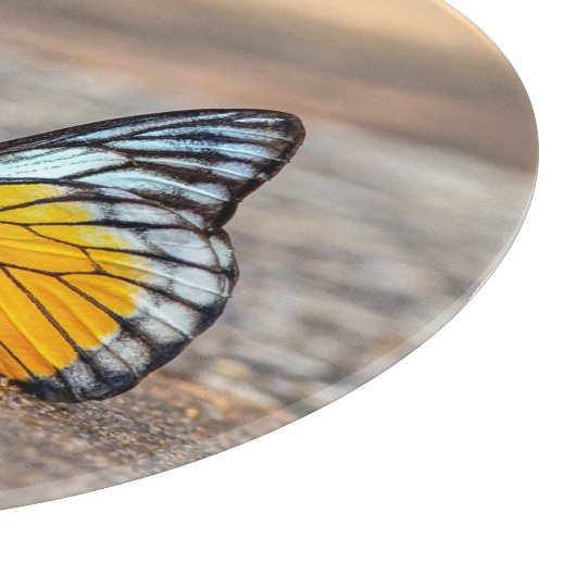 Planche À Découper Papillon sur la plage (Coin)