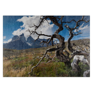 Planche À Découper Parc national Torres del Paine, arbres endommagés 
