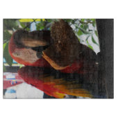 Planche À Découper Parrot Macaw Scarlet Manger Toast (Devant)