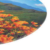 Planche À Découper Pavot de Californie recouvrant une colline (Coin)