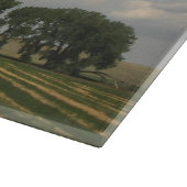 Planche À Découper Paysage agricole irlandais (Coin)